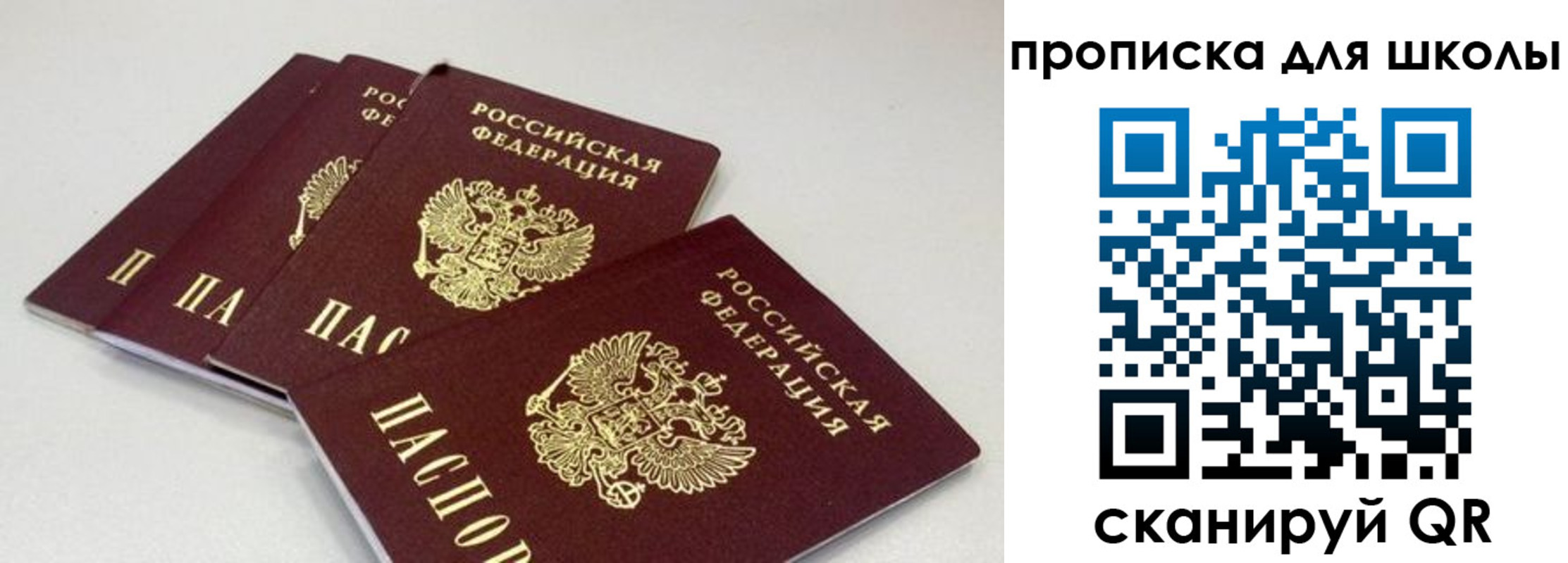 прописка для школы в Гусь-Хрустальном